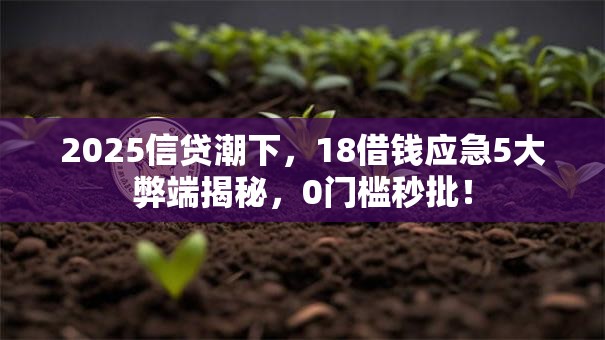 2025信贷潮下,18借钱应急5大弊端揭秘,0门槛秒批! 2025信贷潮下,18借钱应急5大弊端揭秘,0门槛秒批!
