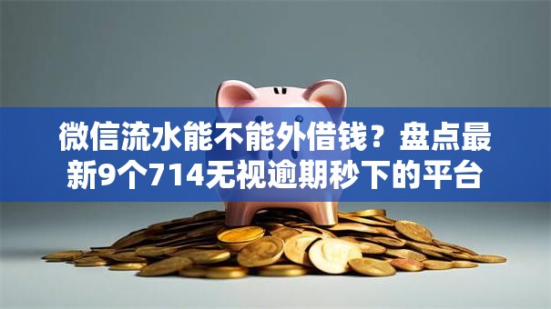 微信流水能不能外借钱？盘点最新9个714无视逾期秒下的平台