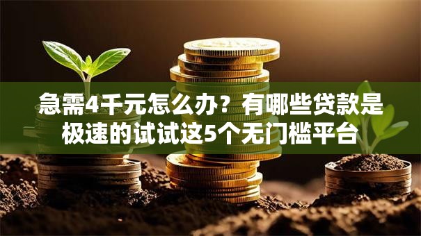 急需4千元怎么办？有哪些贷款是极速的试试这5个无门槛平台