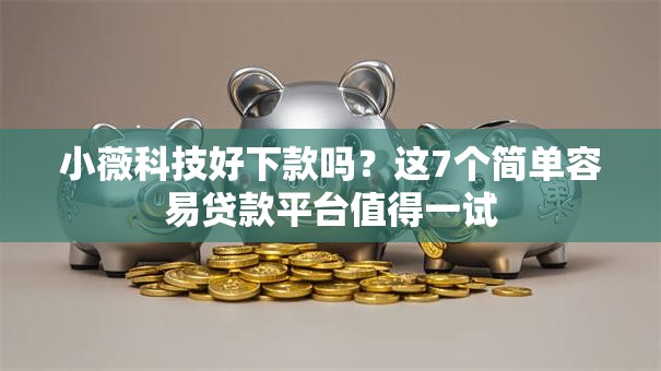 小薇科技好下款吗？这7个简单容易贷款平台值得一试