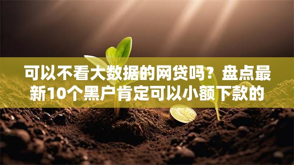 可以不看大数据的网贷吗？盘点最新10个黑户肯定可以小额下款的平台