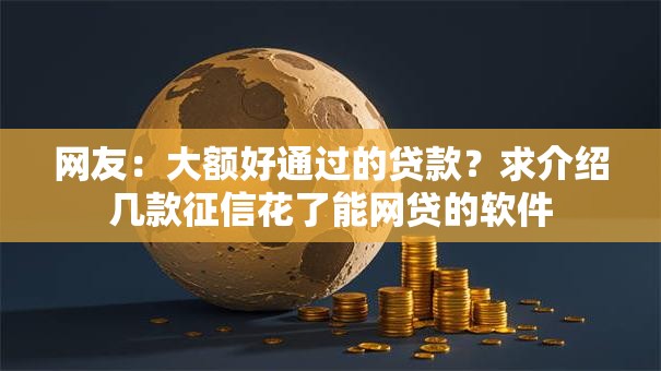 网友：大额好通过的贷款？求介绍几款征信花了能网贷的软件