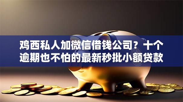 鸡西私人加微信借钱公司？十个逾期也不怕的最新秒批小额贷款软件