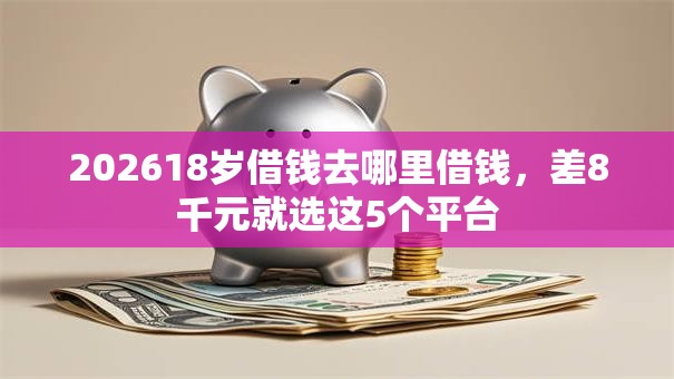 202618岁借钱去哪里借钱，差8千元就选这5个平台