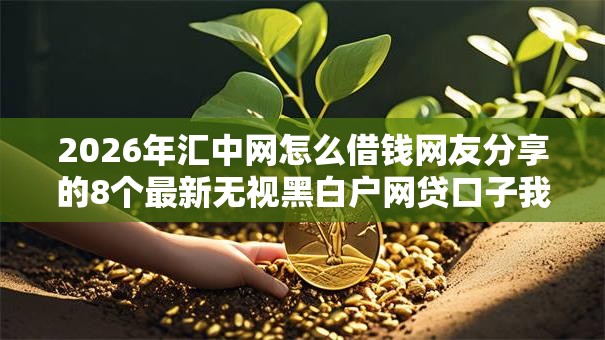 2026年汇中网怎么借钱网友分享的8个最新无视黑白户网贷口子我觉得不错！