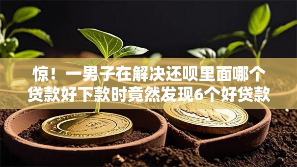 惊!一男子在解决还呗里面哪个贷款好下款时竟然发现6个好贷款平台,事后分享了出来 惊!一男子在解决还呗里面哪个贷款好下款时竟然发现6个好贷款平台,事后分享了出来