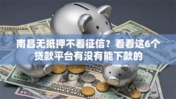 南昌无抵押不看征信？看看这6个贷款平台有没有能下款的