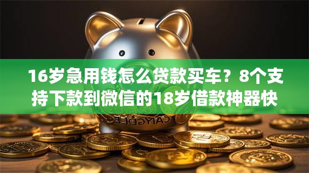 16岁急用钱怎么贷款买车?8个支持下款到微信的18岁借款神器快速下款app 16岁急用钱怎么贷款买车?8个支持下款到微信的18岁借款神器快速下款app