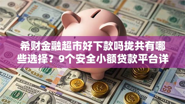 希财金融超市好下款吗拢共有哪些选择?9个安全小额贷款平台详解 希财金融超市好下款吗拢共有哪些选择?9个安全小额贷款平台详解
