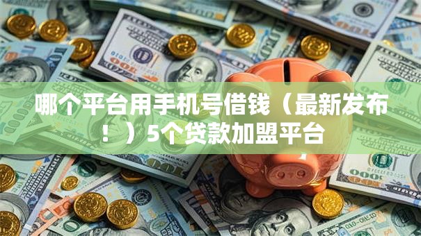 哪个平台用手机号借钱(最新发布!)5个贷款加盟平台 哪个平台用手机号借钱(最新发布!)5个贷款加盟平台