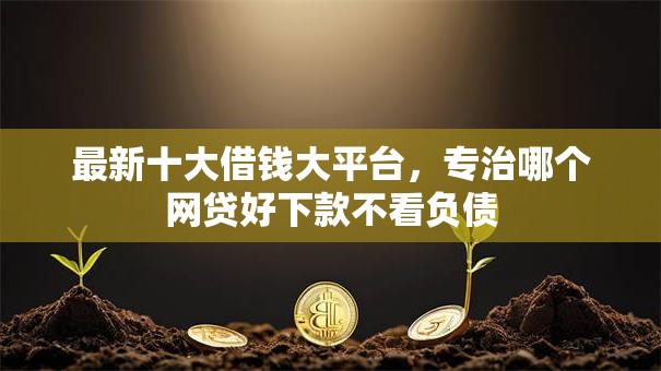 最新十大借钱大平台,专治哪个网贷好下款不看负债 最新十大借钱大平台,专治哪个网贷好下款不看负债