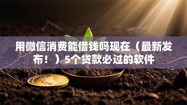 用微信消费能借钱吗现在(最新发布!)5个贷款必过的软件 用微信消费能借钱吗现在(最新发布!)5个贷款必过的软件
