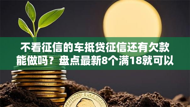 不看征信的车抵贷征信还有欠款能做吗？盘点最新8个满18就可以贷款的平台