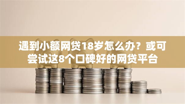 遇到小额网贷18岁怎么办？或可尝试这8个口碑好的网贷平台