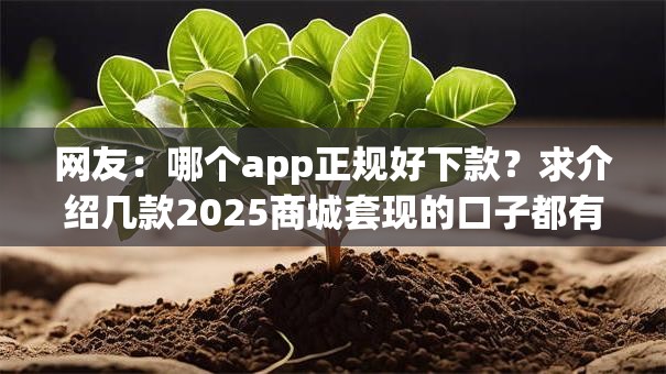 网友：哪个app正规好下款？求介绍几款2025商城套现的口子都有什么