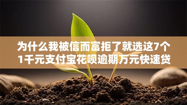 为什么我被信而富拒了就选这7个1千元支付宝花呗逾期万元快速贷款软件 为什么我被信而富拒了就选这7个1千元支付宝花呗逾期万元快速贷款软件