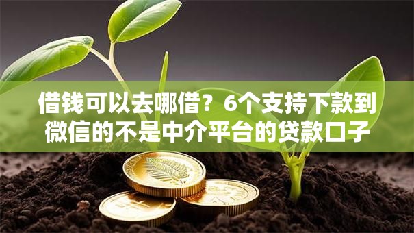 借钱可以去哪借?6个支持下款到微信的不是中介平台的贷款口子 借钱可以去哪借?6个支持下款到微信的不是中介平台的贷款口子