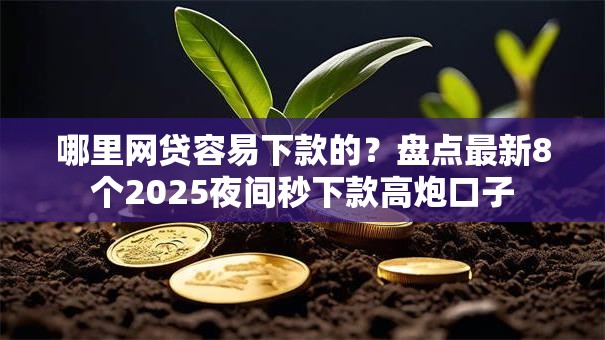 哪里网贷容易下款的?盘点最新8个2025夜间秒下款高炮口子 哪里网贷容易下款的?盘点最新8个2025夜间秒下款高炮口子