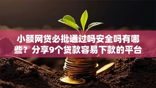 小额网贷必批通过吗安全吗有哪些?分享9个贷款容易下款的平台 小额网贷必批通过吗安全吗有哪些?分享9个贷款容易下款的平台