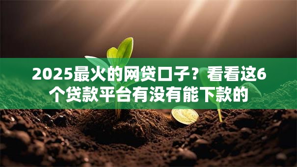2025最火的网贷口子?看看这6个贷款平台有没有能下款的 2025最火的网贷口子?看看这6个贷款平台有没有能下款的