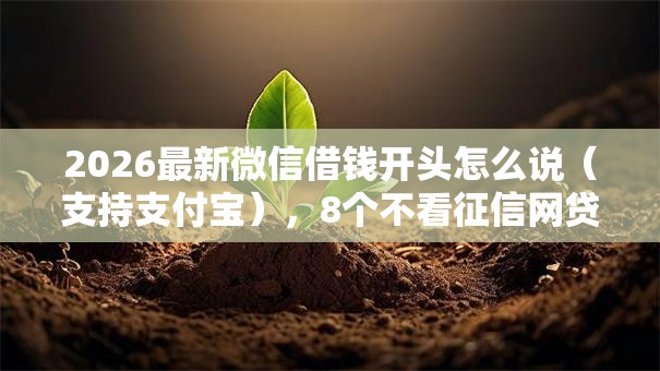 2026最新微信借钱开头怎么说（支持支付宝），8个不看征信网贷平台哪些好下款无私分享