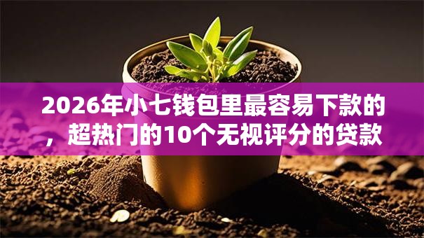 2026年小七钱包里最容易下款的,超热门的10个无视评分的贷款平台推荐 2026年小七钱包里最容易下款的,超热门的10个无视评分的贷款平台推荐