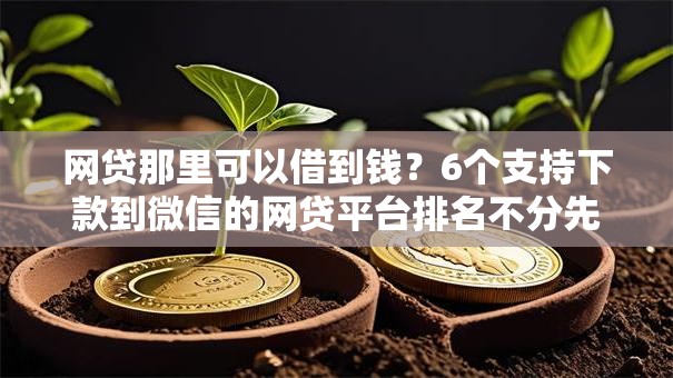 网贷那里可以借到钱？6个支持下款到微信的网贷平台排名不分先后前100名