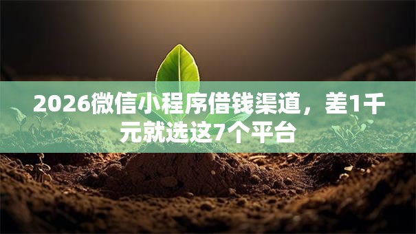 2026微信小程序借钱渠道,差1千元就选这7个平台 2026微信小程序借钱渠道,差1千元就选这7个平台