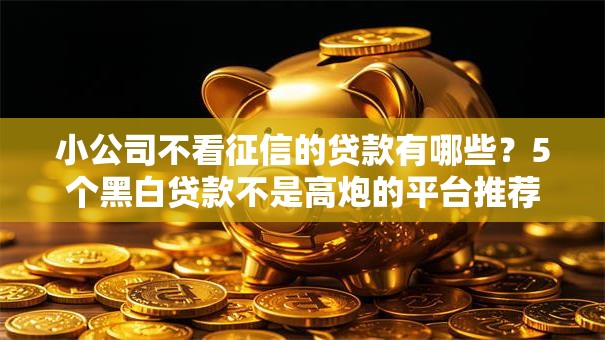 小公司不看征信的贷款有哪些?5个黑白贷款不是高炮的平台推荐给你 小公司不看征信的贷款有哪些?5个黑白贷款不是高炮的平台推荐给你