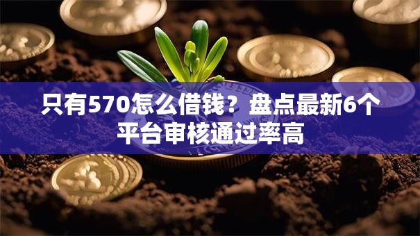 只有570怎么借钱？盘点最新6个平台审核通过率高