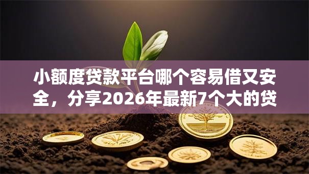 小额度贷款平台哪个容易借又安全，分享2026年最新7个大的贷款平台