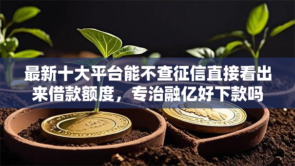 最新十大平台能不查征信直接看出来借款额度，专治融亿好下款吗是真的吗