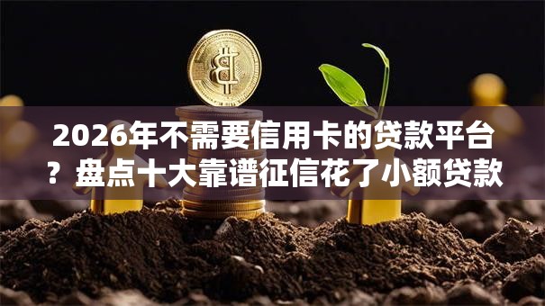 2026年不需要信用卡的贷款平台？盘点十大靠谱征信花了小额贷款正规平台