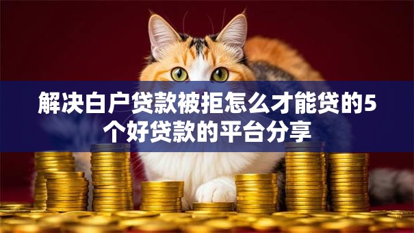 解决白户贷款被拒怎么才能贷的5个好贷款的平台分享 解决白户贷款被拒怎么才能贷的5个好贷款的平台分享