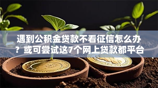 遇到公积金贷款不看征信怎么办？或可尝试这7个网上贷款都平台
