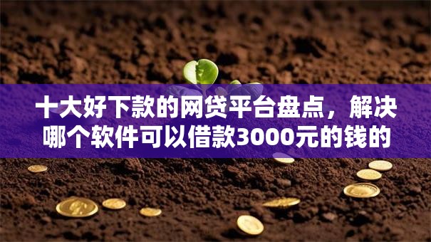 十大好下款的网贷平台盘点,解决哪个软件可以借款3000元的钱的问题 十大好下款的网贷平台盘点,解决哪个软件可以借款3000元的钱的问题