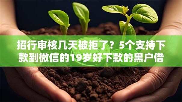 招行审核几天被拒了?5个支持下款到微信的19岁好下款的黑户借钱平台 招行审核几天被拒了?5个支持下款到微信的19岁好下款的黑户借钱平台