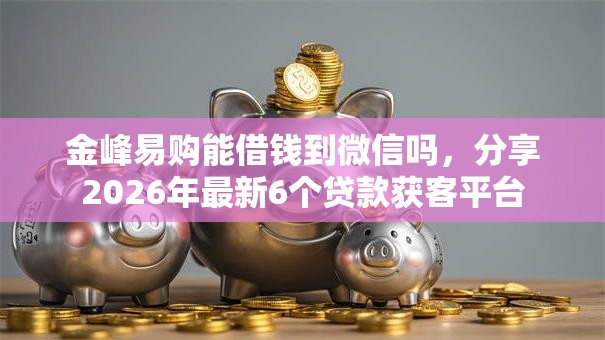 金峰易购能借钱到微信吗,分享2026年最新6个贷款获客平台 金峰易购能借钱到微信吗,分享2026年最新6个贷款获客平台