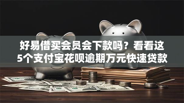 好易借买会员会下款吗?看看这5个支付宝花呗逾期万元快速贷款口子怎么样 好易借买会员会下款吗?看看这5个支付宝花呗逾期万元快速贷款口子怎么样