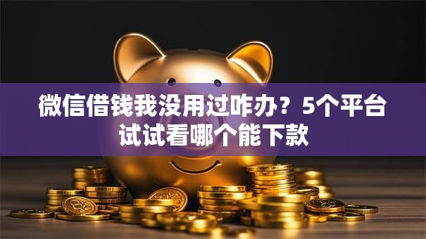 微信借钱我没用过咋办?5个平台试试看哪个能下款 微信借钱我没用过咋办?5个平台试试看哪个能下款