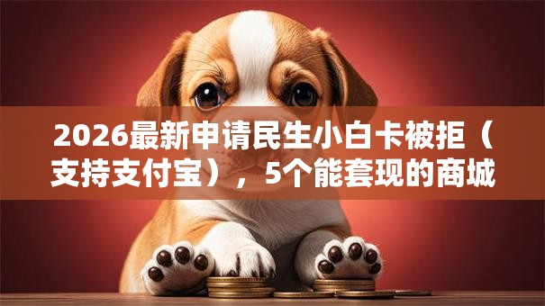 2026最新申请民生小白卡被拒(支持支付宝),5个能套现的商城口子无私分享 2026最新申请民生小白卡被拒(支持支付宝),5个能套现的商城口子无私分享