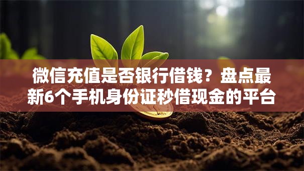 微信充值是否银行借钱?盘点最新6个手机身份证秒借现金的平台 微信充值是否银行借钱?盘点最新6个手机身份证秒借现金的平台