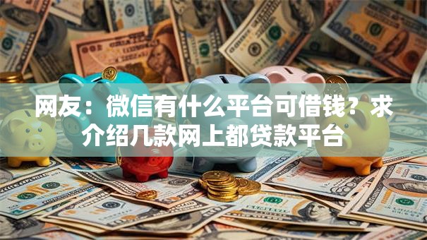 网友：微信有什么平台可借钱？求介绍几款网上都贷款平台