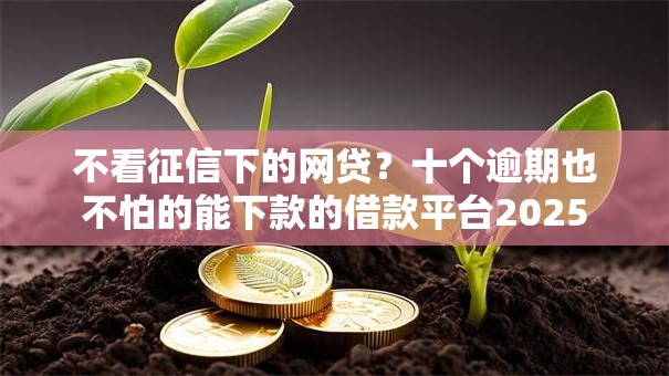不看征信下的网贷？十个逾期也不怕的能下款的借款平台2025