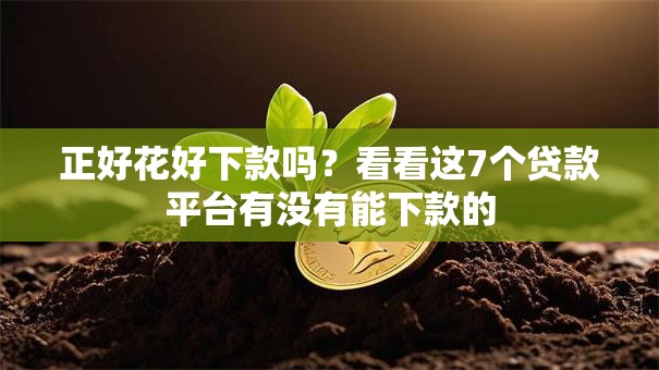 正好花好下款吗?看看这7个贷款平台有没有能下款的 正好花好下款吗?看看这7个贷款平台有没有能下款的