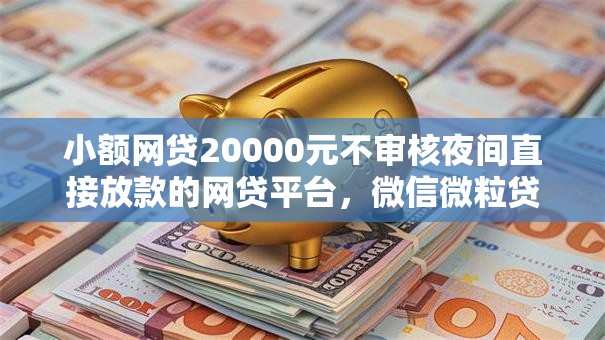 小额网贷20000元不审核夜间直接放款的网贷平台，微信微粒贷借钱在哪里的8个平台介绍