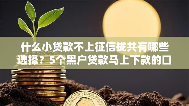 什么小贷款不上征信拢共有哪些选择?5个黑户贷款马上下款的口子详解 什么小贷款不上征信拢共有哪些选择?5个黑户贷款马上下款的口子详解