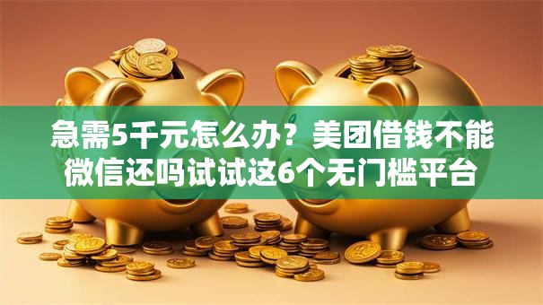 急需5千元怎么办?美团借钱不能微信还吗试试这6个无门槛平台 急需5千元怎么办?美团借钱不能微信还吗试试这6个无门槛平台