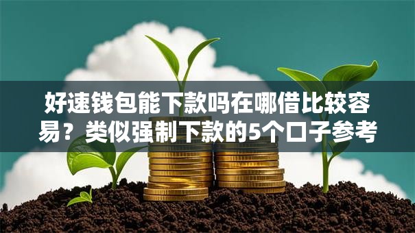 好速钱包能下款吗在哪借比较容易?类似强制下款的5个口子参考 好速钱包能下款吗在哪借比较容易?类似强制下款的5个口子参考