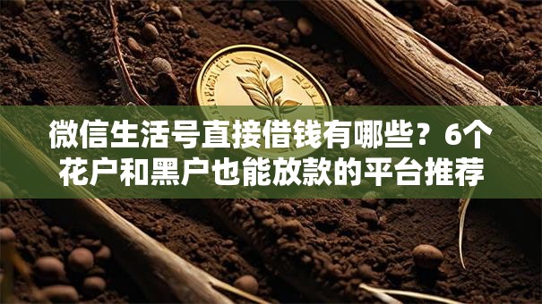 微信生活号直接借钱有哪些?6个花户和黑户也能放款的平台推荐给你 微信生活号直接借钱有哪些?6个花户和黑户也能放款的平台推荐给你